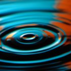 Qué propiedad física hace que los insectos puedan caminar sobre la superficie del agua estancada