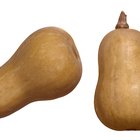 How to Cut a Butternut Squash