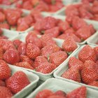 Easy Strawberry Smoothies for Kids to Make