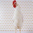 What Happens if You Cook Chicken With the Giblets Still Inside?
