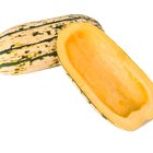 How to Cook a Delicata Squash