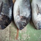 How to Cook Tarakihi
