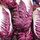 How to Cook Escarole Without it Being Bitter