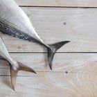 Yellow Tail Tuna and Omega 3