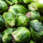 Brussels Sprouts Nutrition Information