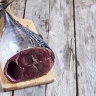 How to Smoke Tuna