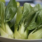 5 Things You Need to Know About the Health Benefits of Bok Choy
