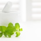 Can You Use Mint for Skin Problems?