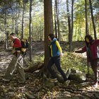 Tipos de ecosistemas ambientales