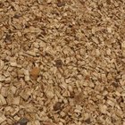 Is Eating Wood Chips Dangerous for My Dog? | Dog Care - Daily Puppy