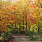 Outdoor Places to Get Married in Wisconsin in October