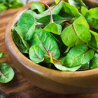 Oxalic & Phytic Acids in Foods