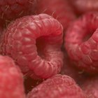 How to Make Raspberry Jelly