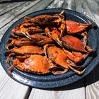 Information on Blue Crab Fishing in Louisiana