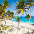 How to Apply for Citizenship in Barbados | Legal Beagle