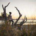 Cheapest Place To Live Along The Pacific Ocean Budgeting Money The Nest Cheapest Place To Live Along The Pacific Ocean Budgeting Money The Nest