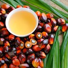 La aceitosa verdad acerca del aceite de palma