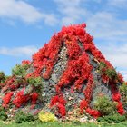 Cómo construir una montaña de papel maché