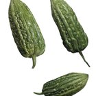 Bitter Melon for Acne