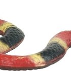 Cómo identificar serpientes de rayas rojas y de rayas negras