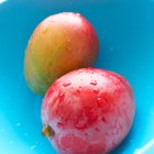 How to Cut a Honey Mango
