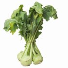 Ways to Cook Kohlrabi