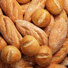 ¿Qué es el phylum de moho del pan?