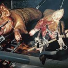 How to Cook a Whole Pig on a Smoker