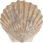 How to Grill Sea Scallops Wrapped in Bacon