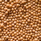 How to Cook Lentils and Split Peas