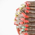 Biolage Perm Care Tips