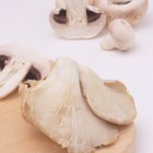 How to Dry or Dehydrate Mushrooms