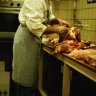 Cuts of Meat From a Front Quarter of Beef