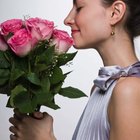 What Is a Traditional Gift for a 36th Anniversary?