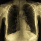 Cómo hacer pulmones de muestra para proyectos