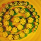 How to Freeze Cut Okra