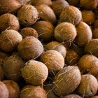 Coconut Oil Pills for Weight Loss