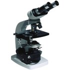 Cómo observar el crecimiento de la levadura con un microscopio