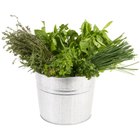 Herbs for Scrambled Eggs
