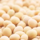 How to Cook Raw Chickpeas or Garbanzo Beans