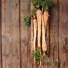 How to Bake Parsnip Chips