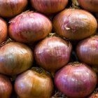 How to Julienne Onions