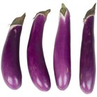 How to Prepare Hansel Eggplant