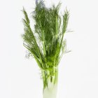 How to Julienne Fennel