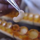 Cómo reconocer los huevos y larvas de las abejas