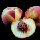 How to Pit a Peach