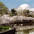 Beautiful Places to Get Married in DC