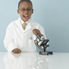 Los objetivos de enseñar ciencia a los prescolares