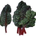 How to Cook Swiss Chard Italian Style