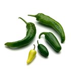 How to Fry a Jalapeno Pepper